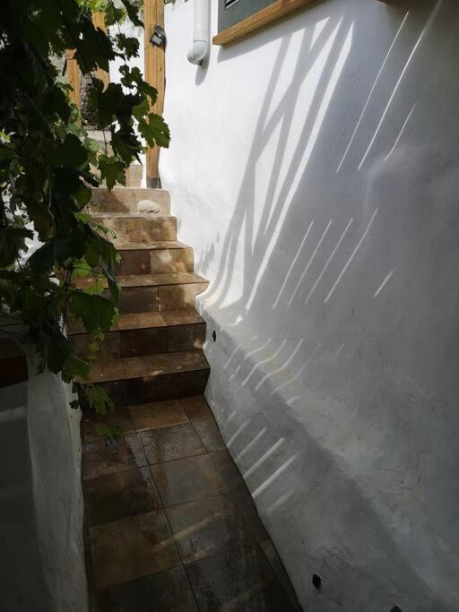 Souterrain Fuer Max 2 P., Bad, Aussenkueche, Garten Güimar Екстериор снимка