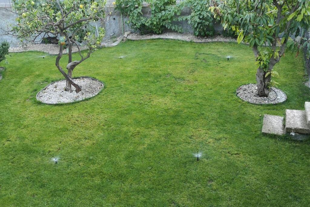 Souterrain Fuer Max 2 P., Bad, Aussenkueche, Garten Güimar Екстериор снимка